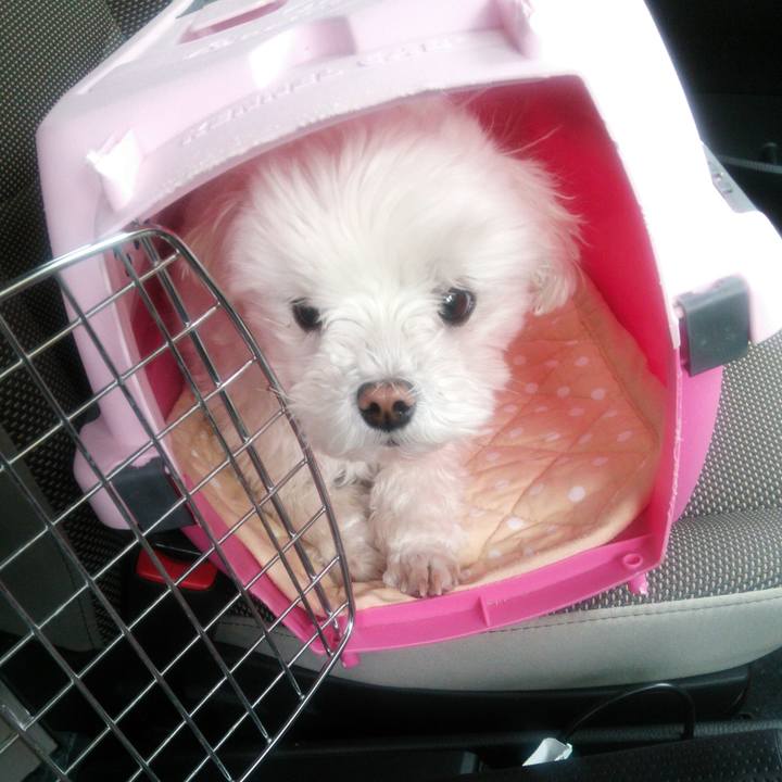 6c5c9237 84ef 466d 99f1 9c5116dc66b8