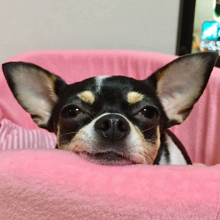 6c5caf0a 1b1f 4dc4 8a64 ce9389c52de1