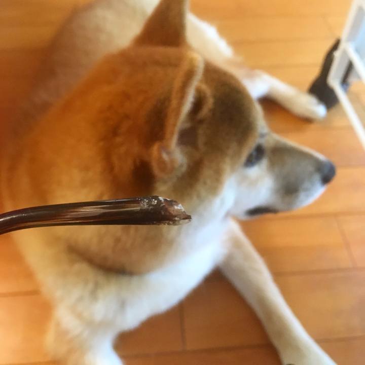 6c5eaa28 5794 496b 8bdf 5aa86ca35a16