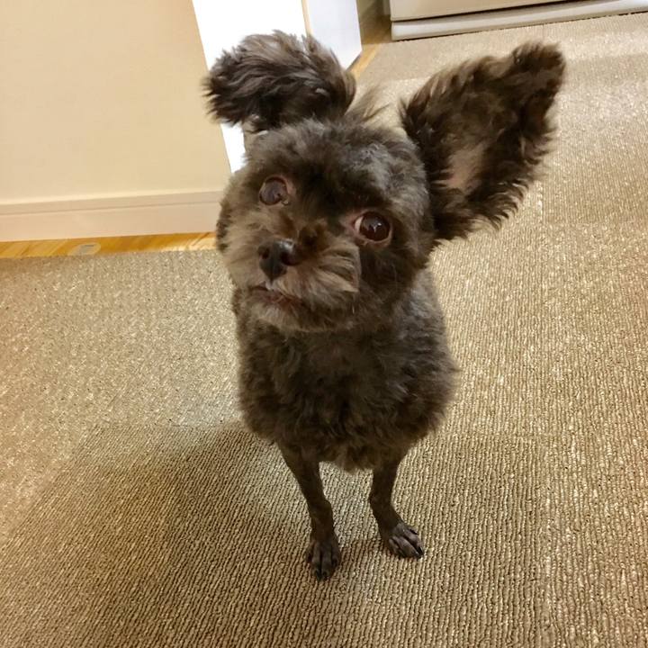 6c5ec967 85b9 4f22 9166 3452f4590e82