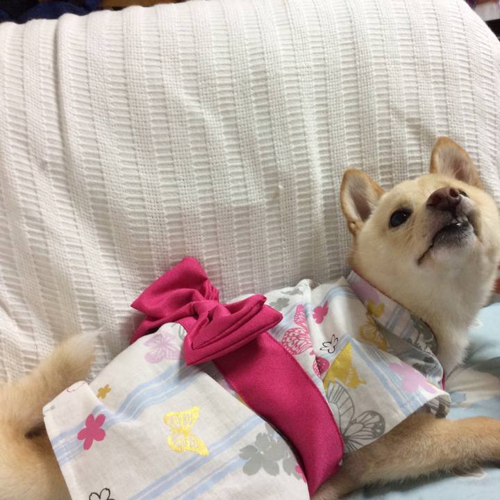 6c5fba58 8e7b 425d b4ee 8705472ecd94