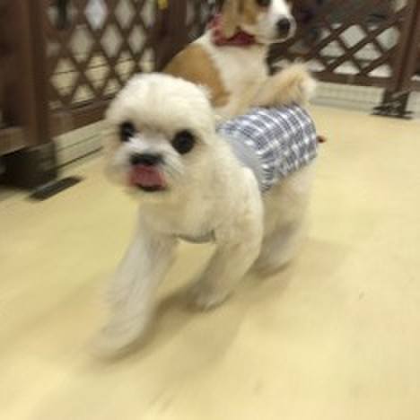 6c5fe3b5 e555 46c1 975a bc7883dcd09f