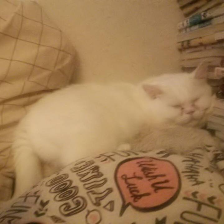 6c60a04e c32d 48af 8931 0e2b197cd042