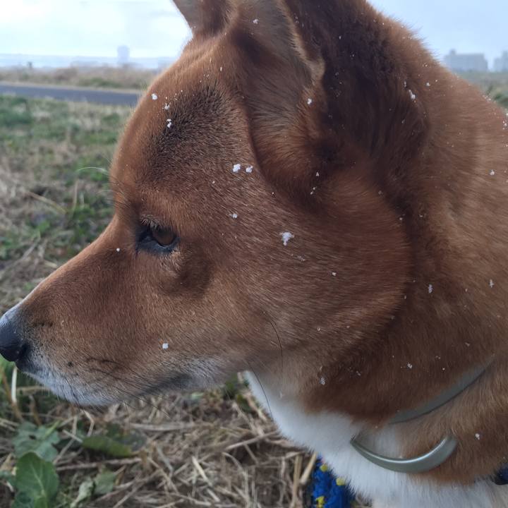 6c61789d 7d45 4464 9777 4e47724bdb14