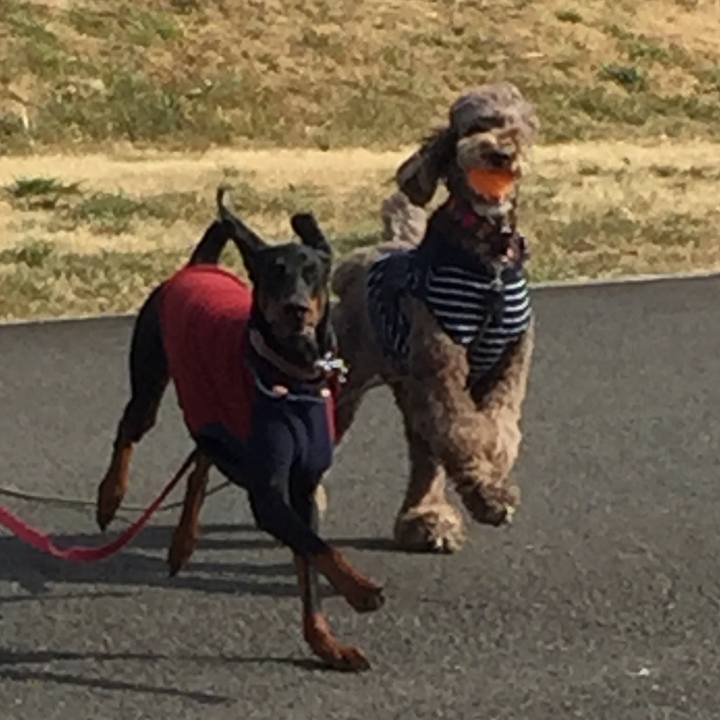 6c624456 5d40 4dd2 ae22 3c75f86f5c02