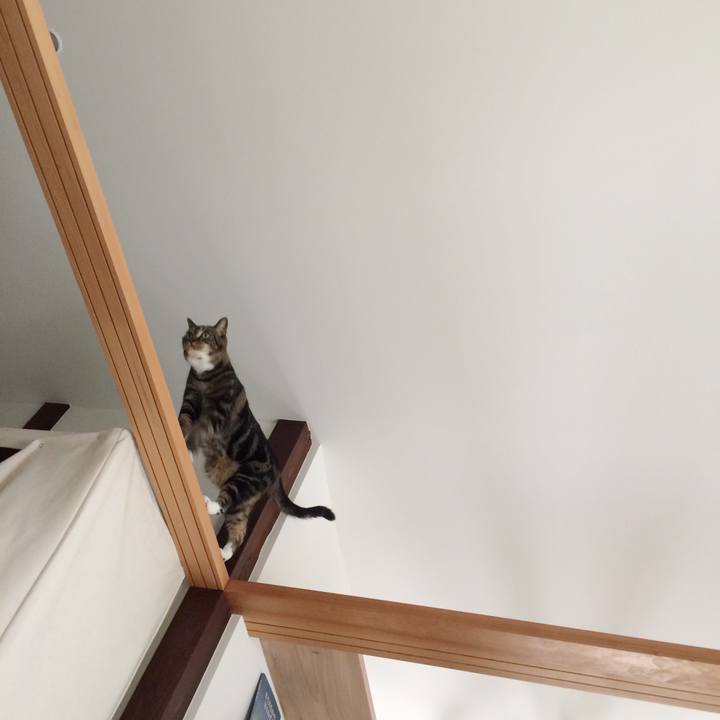 6c62fe16 4550 49f8 b2d6 994391068e70