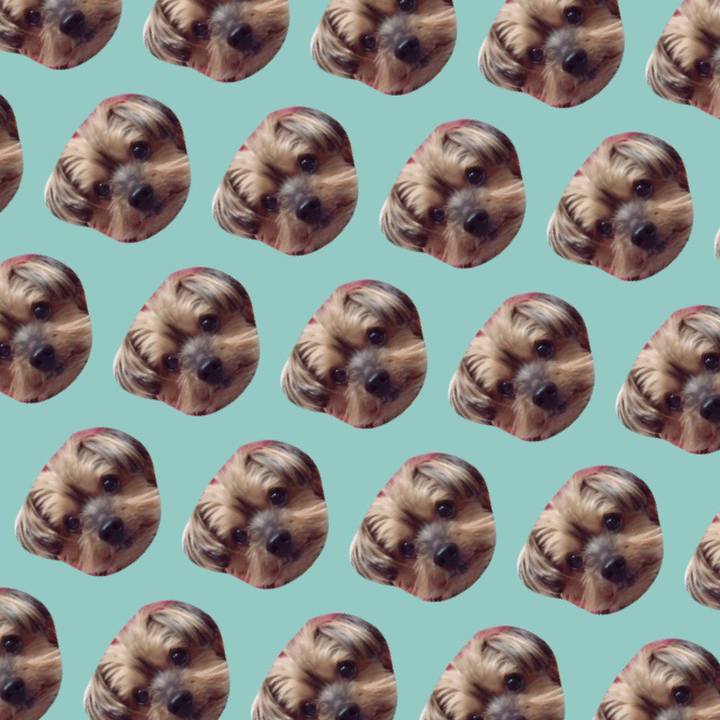 6c632fba 2b6e 45bb 887e c044e92d070b