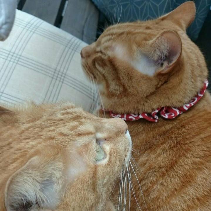 6c649d4a 6be9 4220 9718 fddf2e34ef39