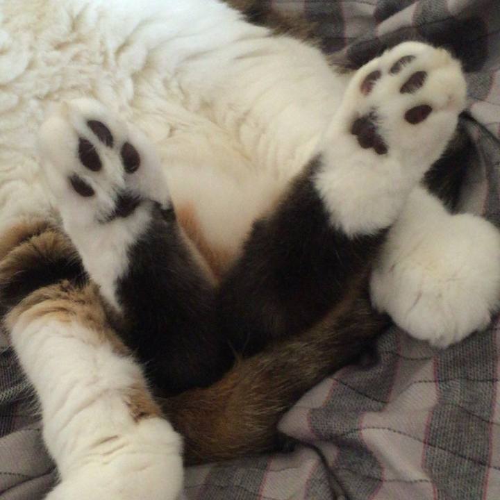 6c64abb3 3591 4490 9043 2d3ccc9a7183