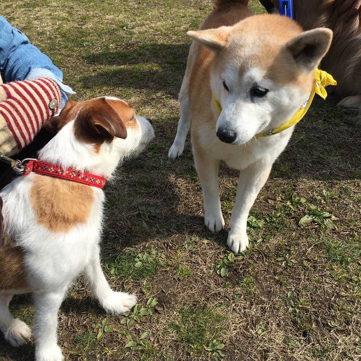 6c64fea0 6bba 4483 b2a0 da1c3465867a