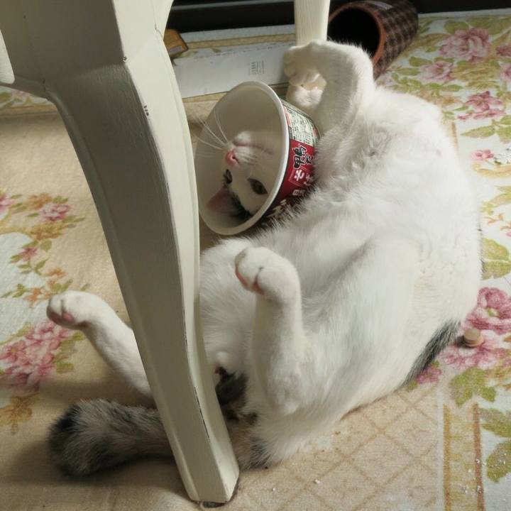 6c6553e1 56a7 49d4 b2a0 c774b41fc883