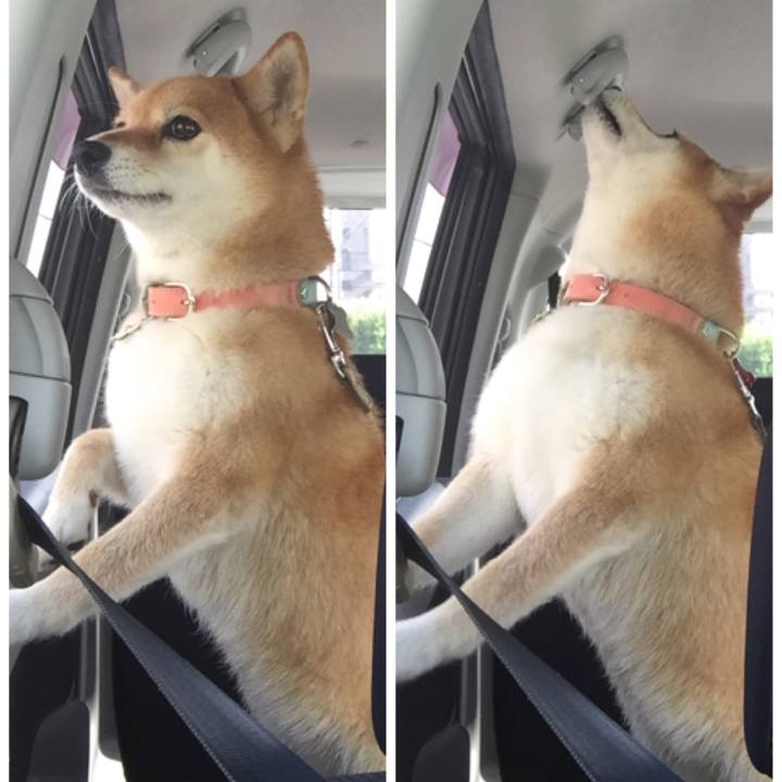 6c65d286 fccf 4858 aaea 570c6fb1d791