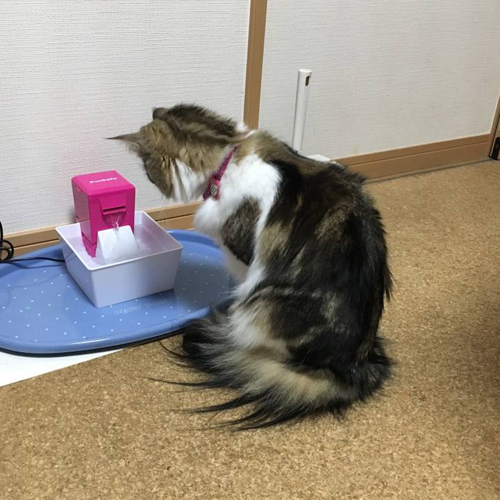 6c670877 d61b 4600 bf8f 483c4121e99b