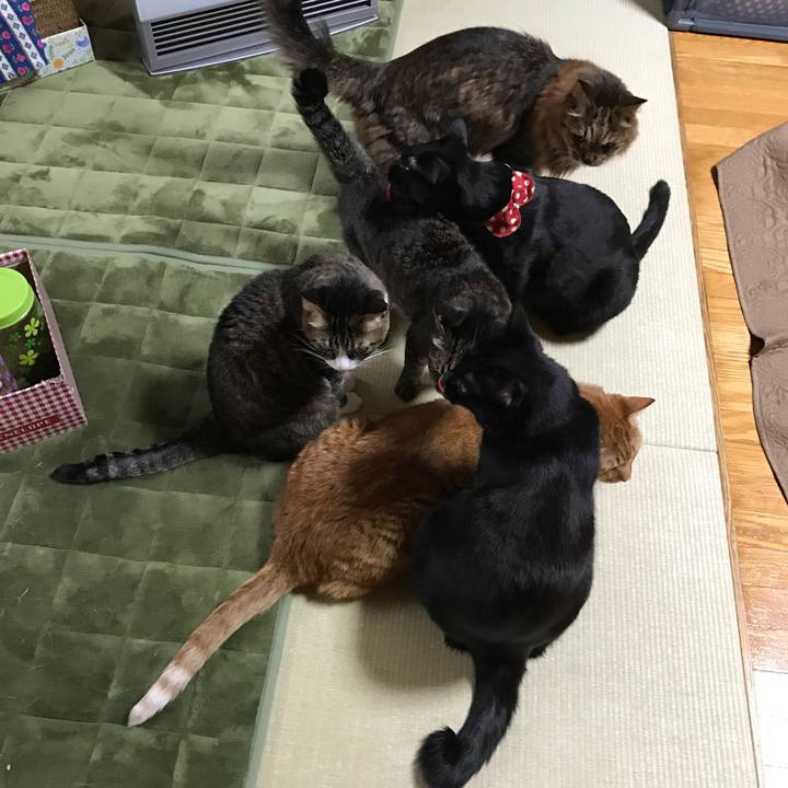 6c672367 9034 4e27 a088 eff2b3d7348d