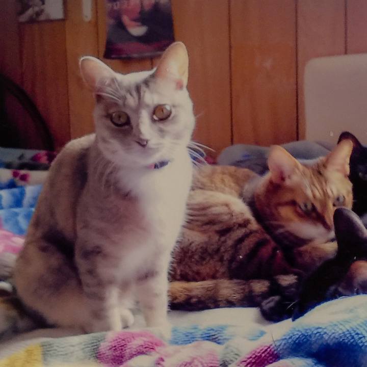 6c673b03 6d35 4307 bae6 f85adeb53eba