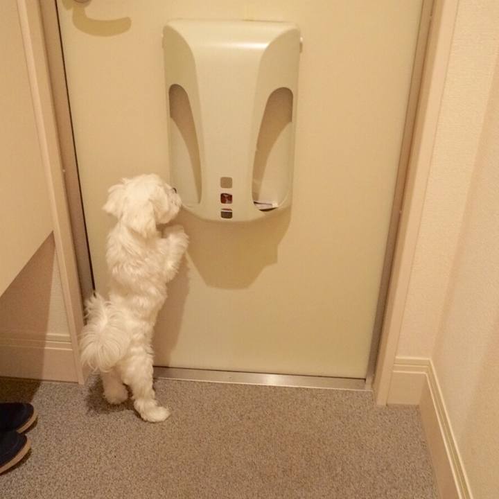 6c67c565 8c22 477f a4c1 34323c6ff0b5