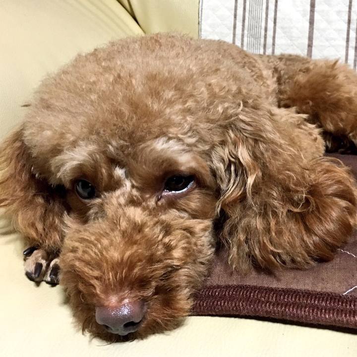 6c6836cd 797d 44f6 8778 c121ec7961c0