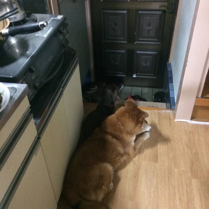 6c687c84 4cd4 40a6 babf 442197639a0c