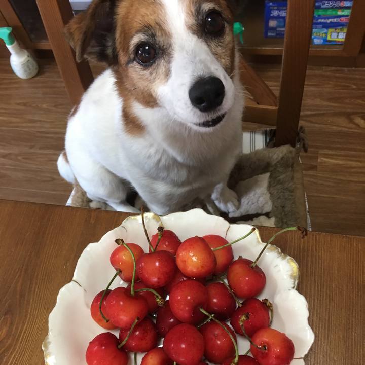 6c68bd1b d4ac 4dc8 87a5 806cc7f95fda