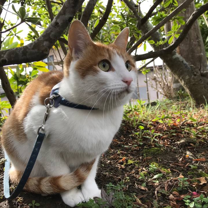 6c692c18 26d2 48fa bf64 52f4232d954d