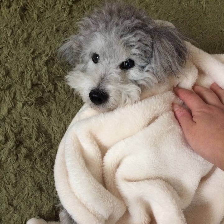 6c697525 e92d 4265 b8e6 e0bf0b20dc2d