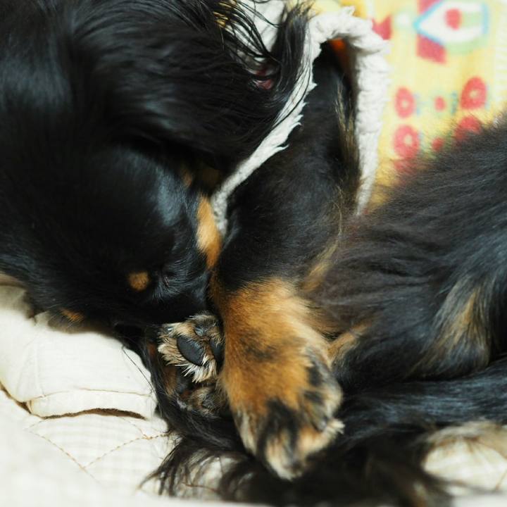 6c6a3eaa e338 4ba7 b050 78e67398645c