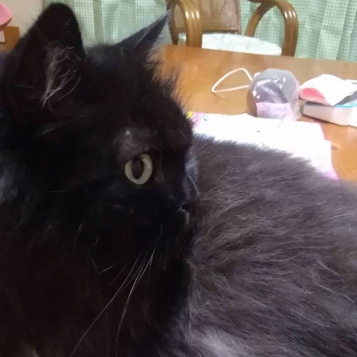 6c6aa426 cf9b 41a3 a347 7885227831c5