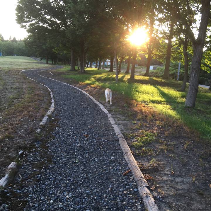 6c6afb16 b564 4794 a40c dd727b93d832