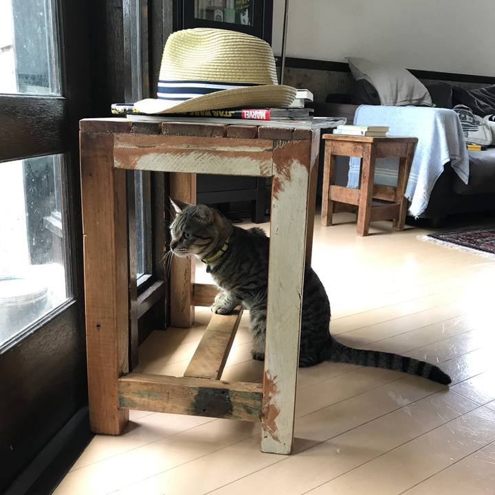 6c6b377d cca0 482c b02b 0026e53f93e4