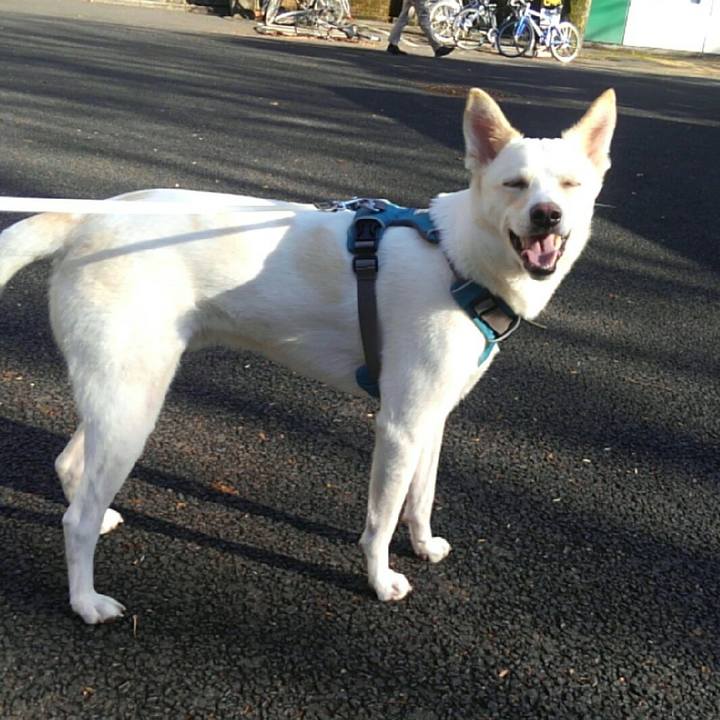 6c6b4be5 5cee 46bd bc8e d3a17e02d1cd