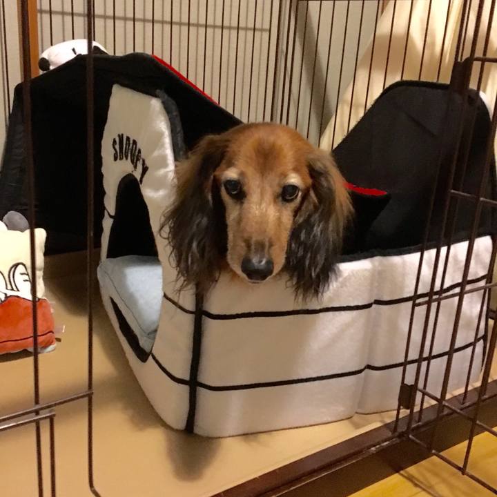 6c6ba023 59c0 4768 bbcf e30de41aeb35