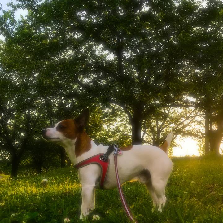 6c6d632b 9674 4fe1 89a4 92a5e9d5c710