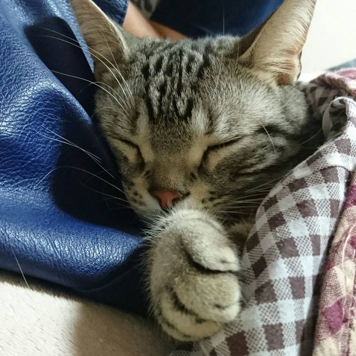 6c6d7d9c 4608 4b10 8076 b6dbf8325864