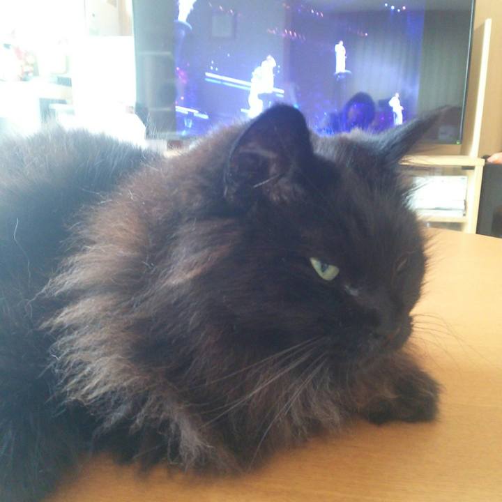 6c6e8e98 a7be 4a6f a0f1 31970a315c94