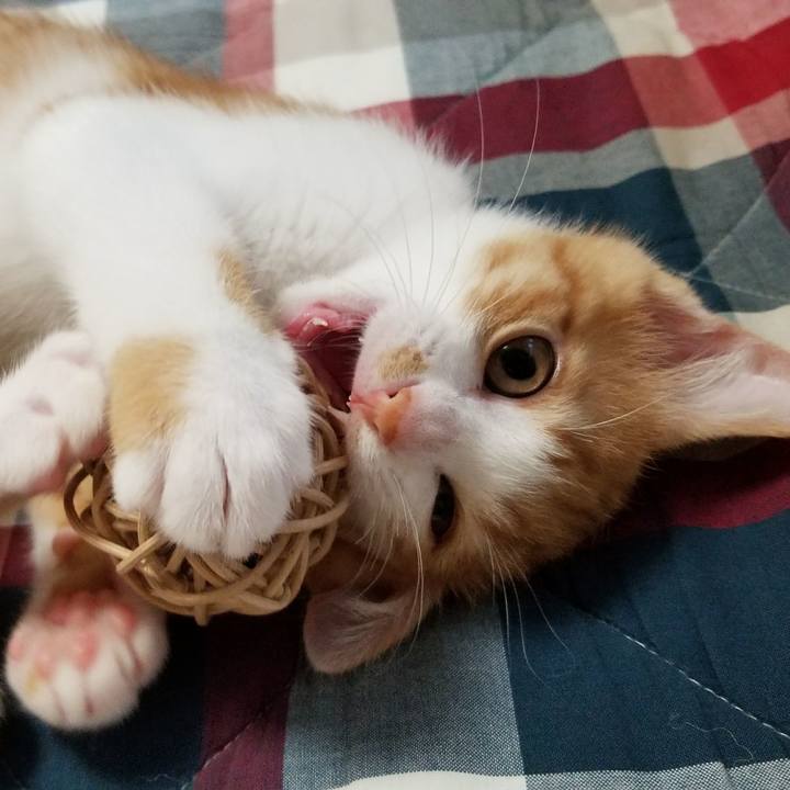 6c6f7c9f f514 4065 bc56 fb8056df7552