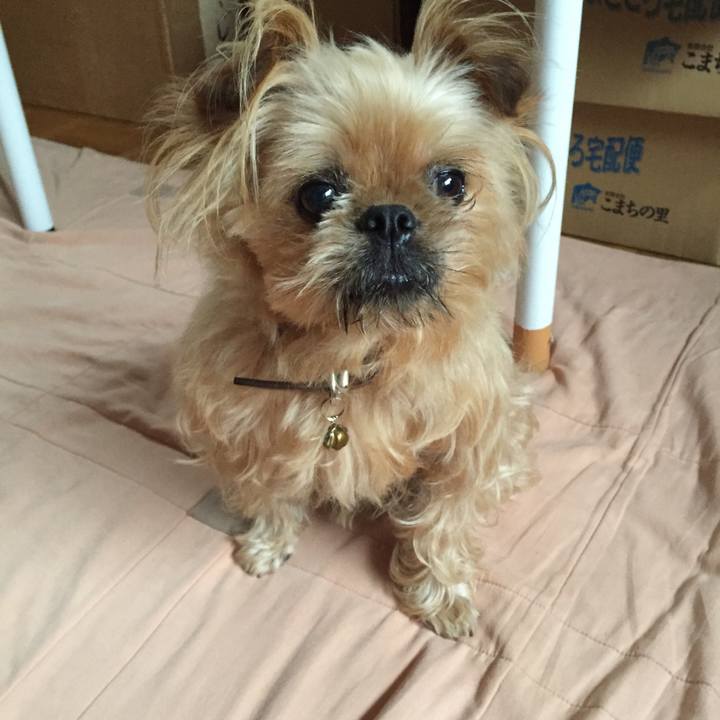 6c6f846c 46b9 4513 ade0 ab4c4e254e11