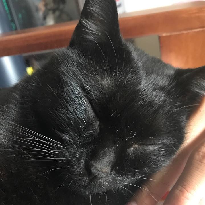 6c70288f e3c8 42c6 8896 dece5a0322b0