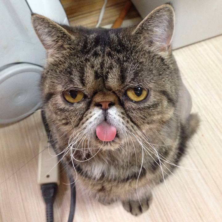 6c7045c1 58c8 4eca b54f 1fd8512fcceb