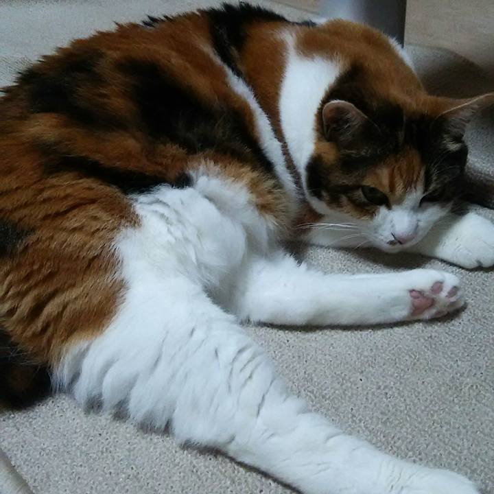 6c709a7b caa6 4ceb 9891 156211c935d3