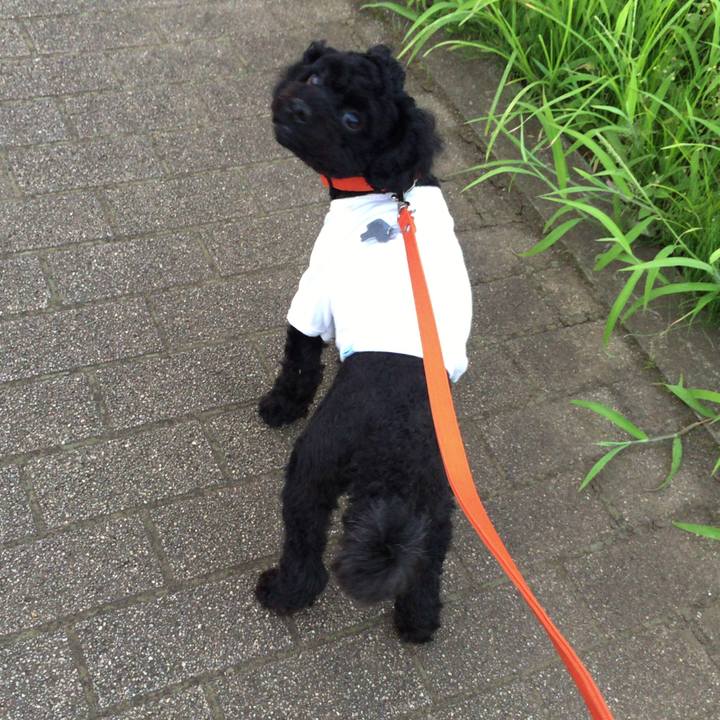 6c70fc73 c5b2 41d6 b235 364dc4aa6429