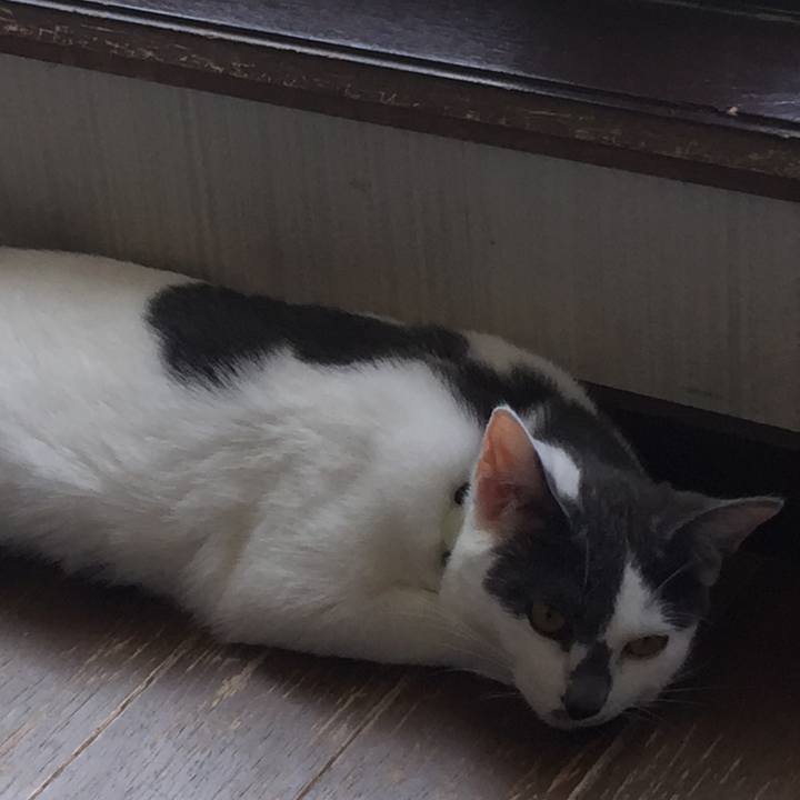 6c710d28 ed46 418f a1e8 7c6e3105e94e