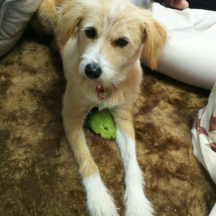 6c71ec04 2a87 418b b87a 7f672c962158