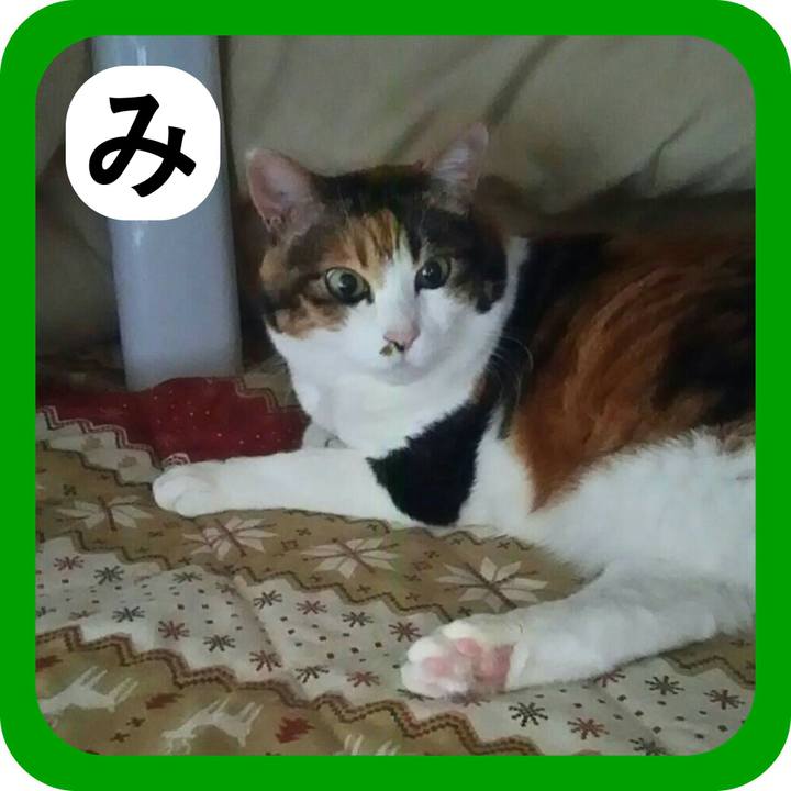 6c722b1f 2722 4280 b805 2167c230a034