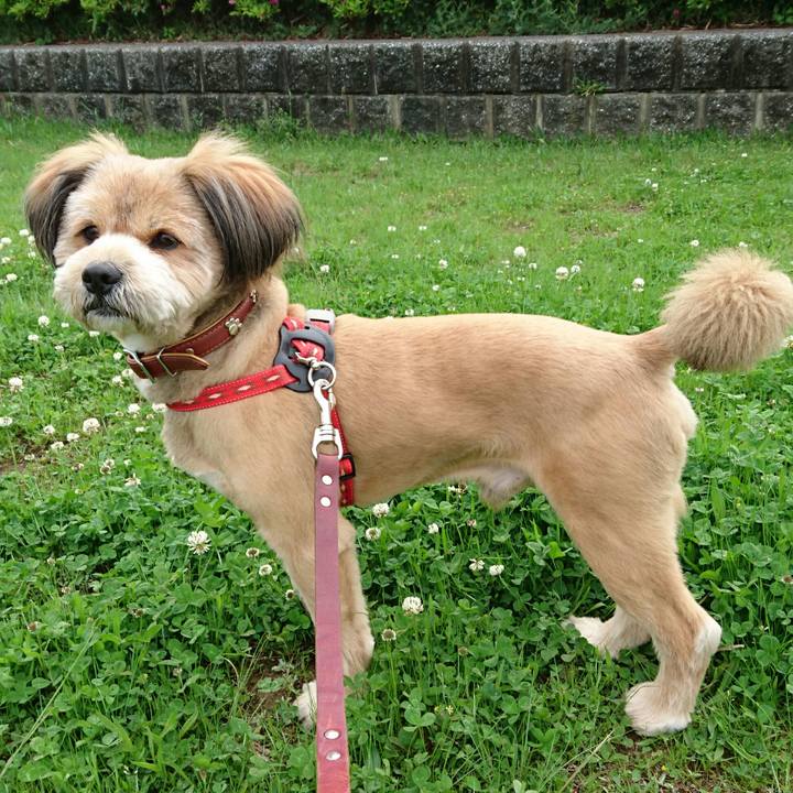 6c729b40 431e 4567 b02b c390c9c30530