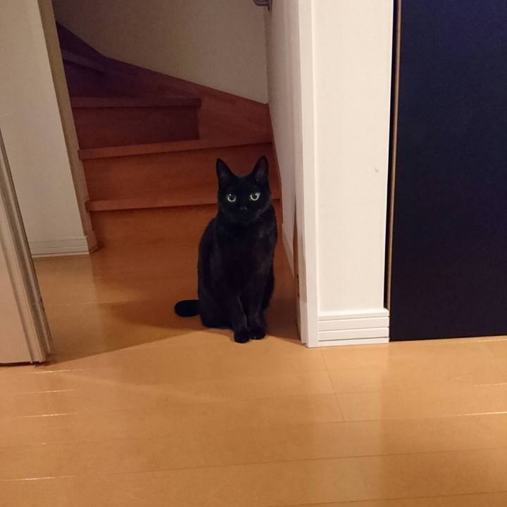 6c739f7b 2cb5 4a60 b271 6aab29bd9a07