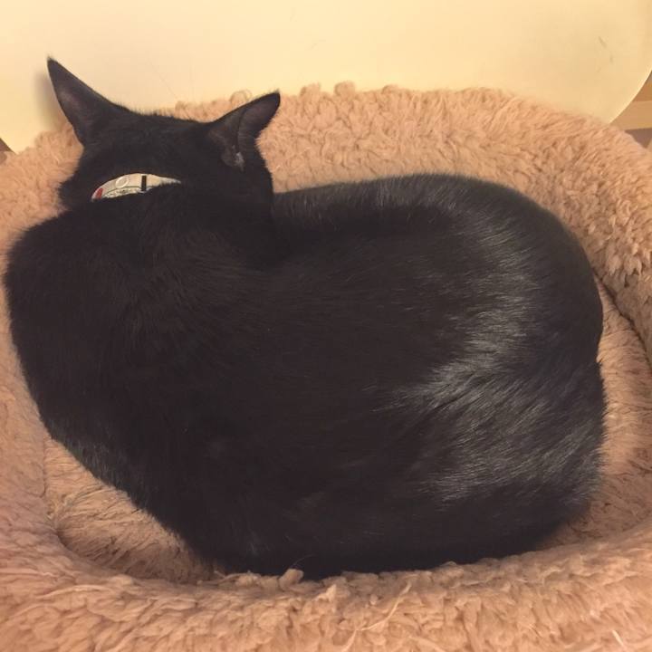 6c73b933 7b47 485b 94f6 4bdc61bd0b3e