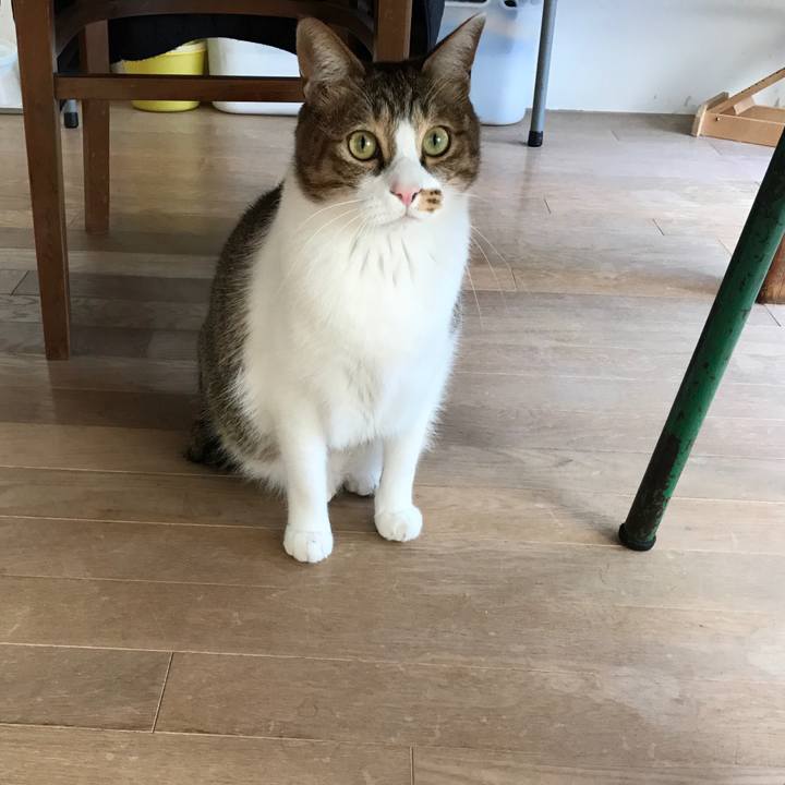 6c73d293 775e 45fe 8f3c a442c4600d1a