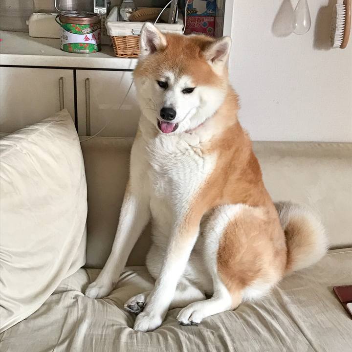 6c744097 afc8 4975 83f3 566d6c28b092