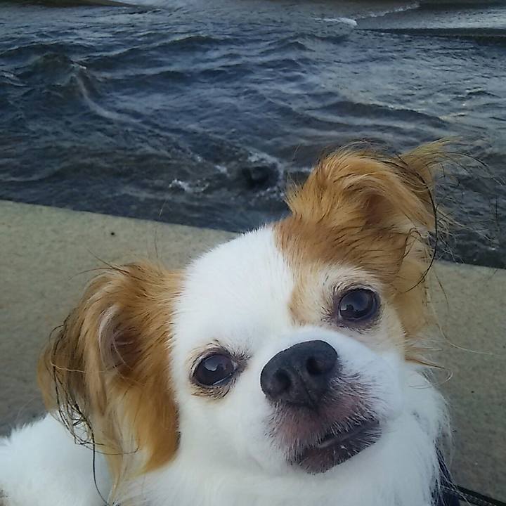 6c7447ae 1d15 468d 85de cbe49350dc3e