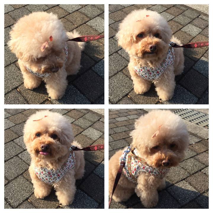 6c746b7b 1dff 4c9f 807a 8790d22d3eff